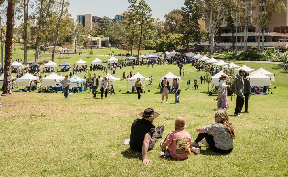 Three people on a lawn looking at a celebration